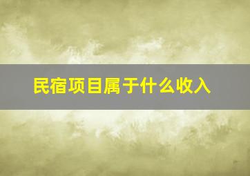 民宿项目属于什么收入