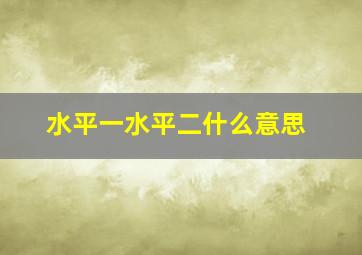 水平一水平二什么意思