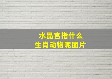 水晶宫指什么生肖动物呢图片