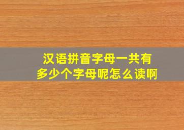 汉语拼音字母一共有多少个字母呢怎么读啊