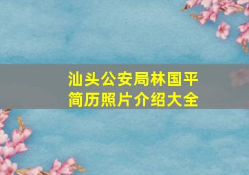 汕头公安局林国平简历照片介绍大全