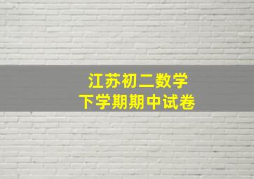 江苏初二数学下学期期中试卷