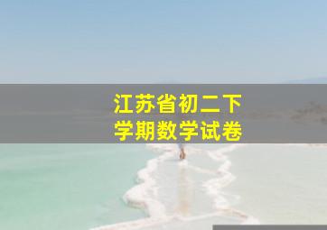 江苏省初二下学期数学试卷