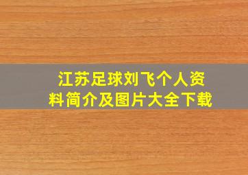 江苏足球刘飞个人资料简介及图片大全下载