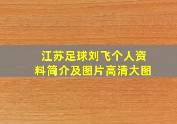 江苏足球刘飞个人资料简介及图片高清大图