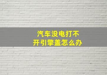 汽车没电打不开引擎盖怎么办