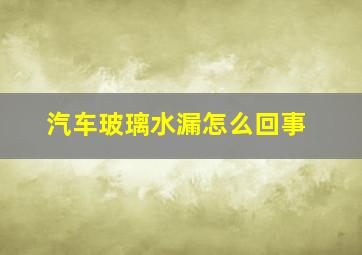 汽车玻璃水漏怎么回事