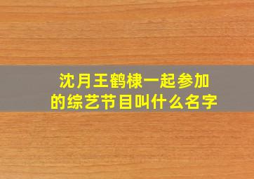 沈月王鹤棣一起参加的综艺节目叫什么名字