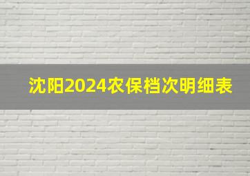 沈阳2024农保档次明细表