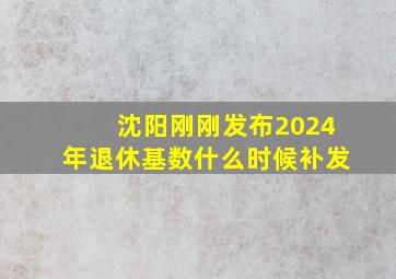 沈阳刚刚发布2024年退休基数什么时候补发