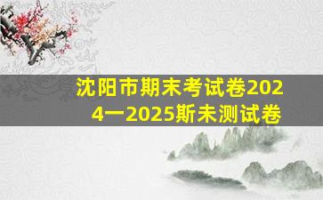 沈阳市期末考试卷2024一2025斯未测试卷