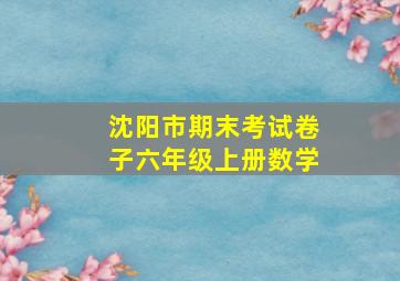 沈阳市期末考试卷子六年级上册数学