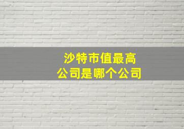 沙特市值最高公司是哪个公司