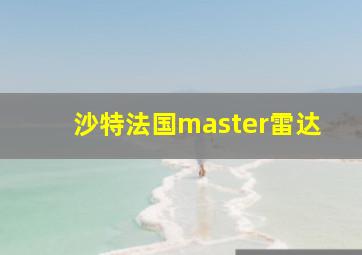 沙特法国master雷达