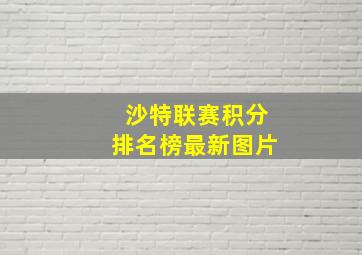 沙特联赛积分排名榜最新图片