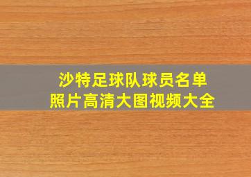 沙特足球队球员名单照片高清大图视频大全