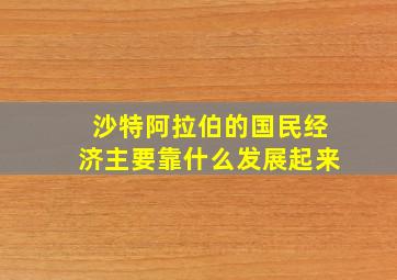 沙特阿拉伯的国民经济主要靠什么发展起来