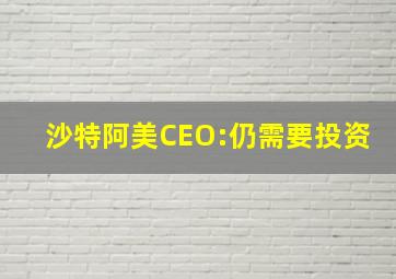 沙特阿美CEO:仍需要投资