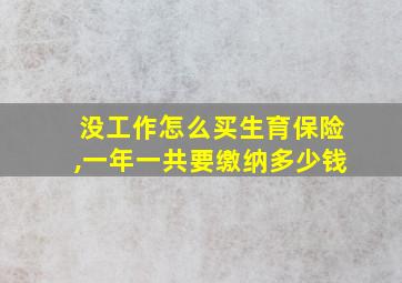 没工作怎么买生育保险,一年一共要缴纳多少钱