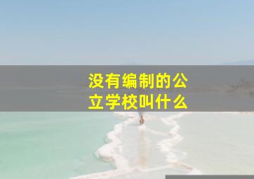 没有编制的公立学校叫什么