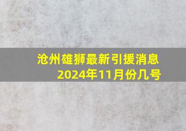 沧州雄狮最新引援消息2024年11月份几号