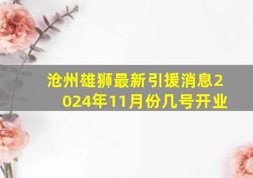 沧州雄狮最新引援消息2024年11月份几号开业