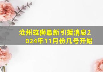 沧州雄狮最新引援消息2024年11月份几号开始