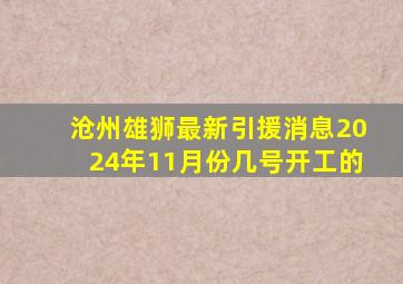 沧州雄狮最新引援消息2024年11月份几号开工的