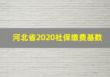 河北省2020社保缴费基数