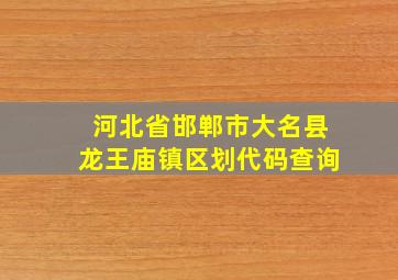 河北省邯郸市大名县龙王庙镇区划代码查询