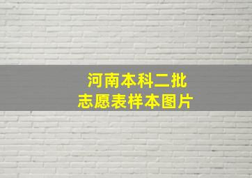 河南本科二批志愿表样本图片