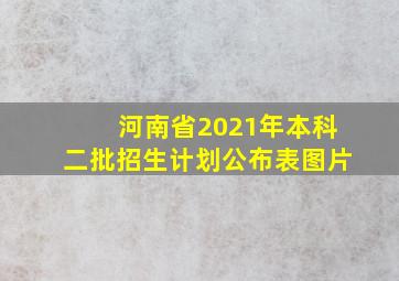 河南省2021年本科二批招生计划公布表图片