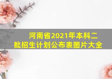 河南省2021年本科二批招生计划公布表图片大全