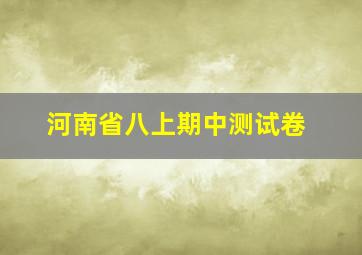 河南省八上期中测试卷