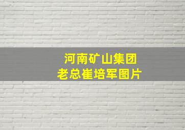 河南矿山集团老总崔培军图片