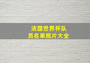 法国世界杯队员名单照片大全