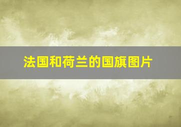 法国和荷兰的国旗图片