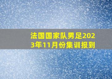 法国国家队男足2023年11月份集训报到