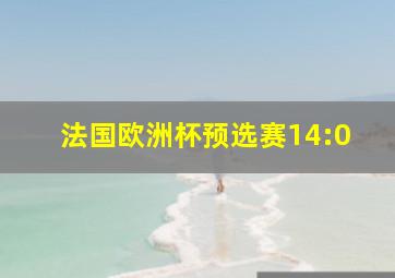 法国欧洲杯预选赛14:0