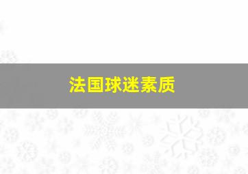 法国球迷素质