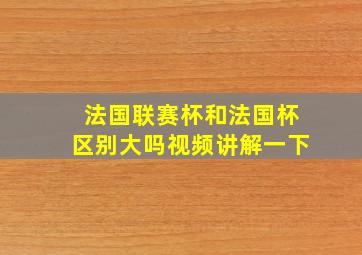 法国联赛杯和法国杯区别大吗视频讲解一下