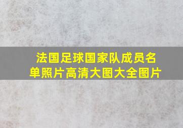 法国足球国家队成员名单照片高清大图大全图片