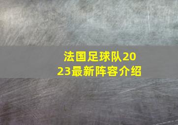 法国足球队2023最新阵容介绍