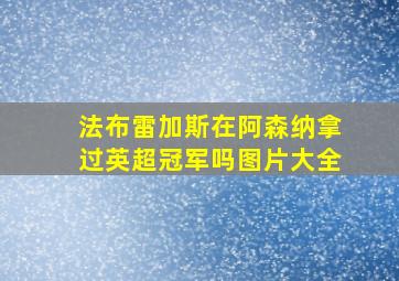 法布雷加斯在阿森纳拿过英超冠军吗图片大全