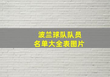 波兰球队队员名单大全表图片