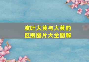 波叶大黄与大黄的区别图片大全图解