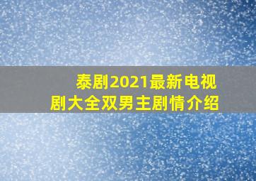 泰剧2021最新电视剧大全双男主剧情介绍