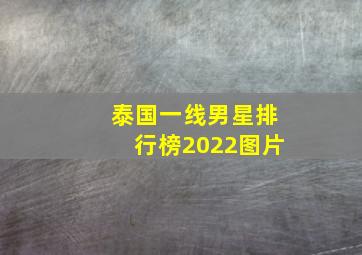 泰国一线男星排行榜2022图片