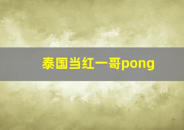 泰国当红一哥pong