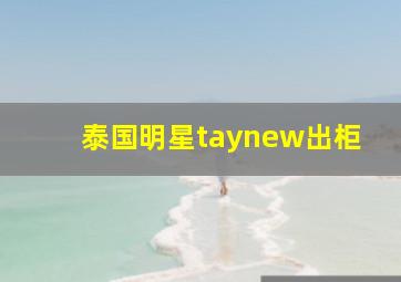 泰国明星taynew出柜